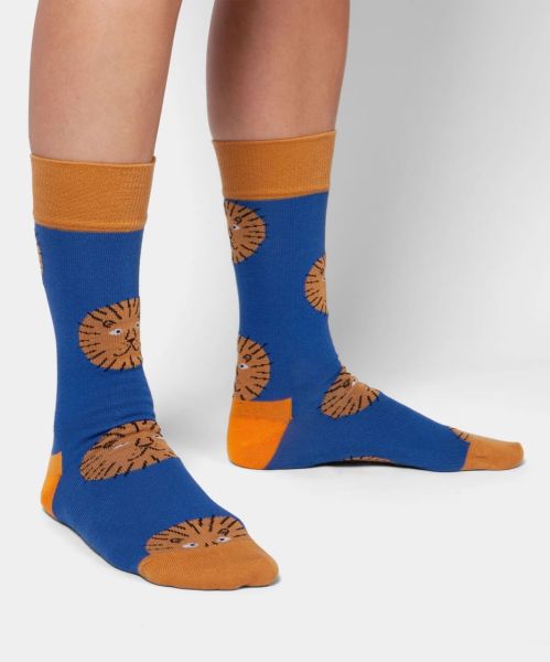 Dilly Socks Lion Sun